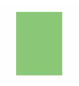 Zelený plastový ubrus, 137 cm x 274 cm